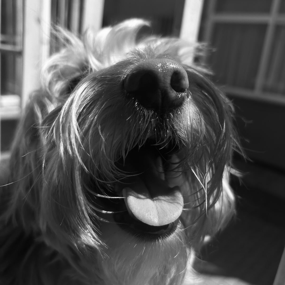 Instagram Profilbild von s1la.5
