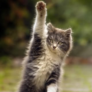 Instagram Profilbild von kat
