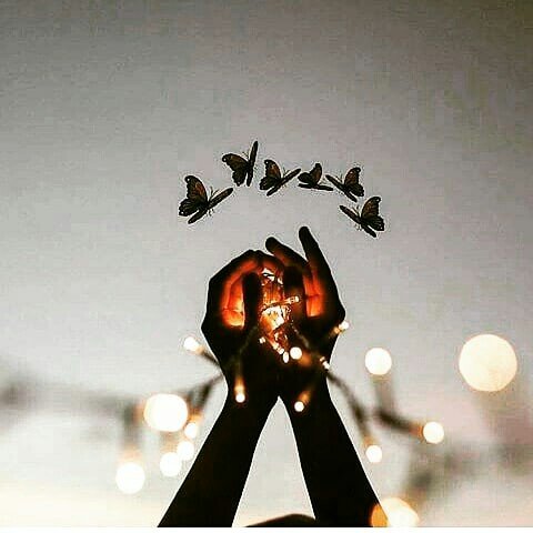 Instagram Profilbild von mery_tlm
