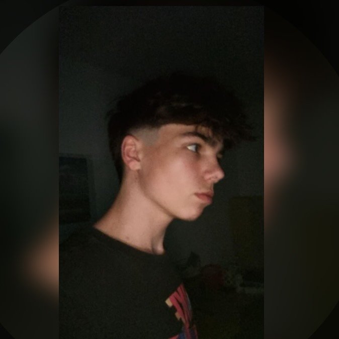 Instagram Profilbild von demianlang14