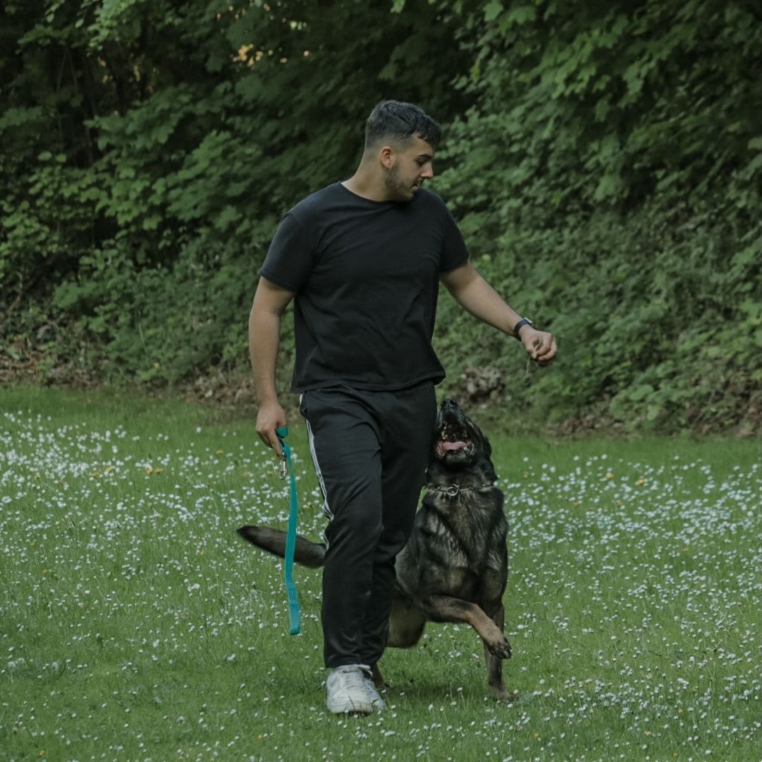 Instagram Profilbild von joelhuber_gsd