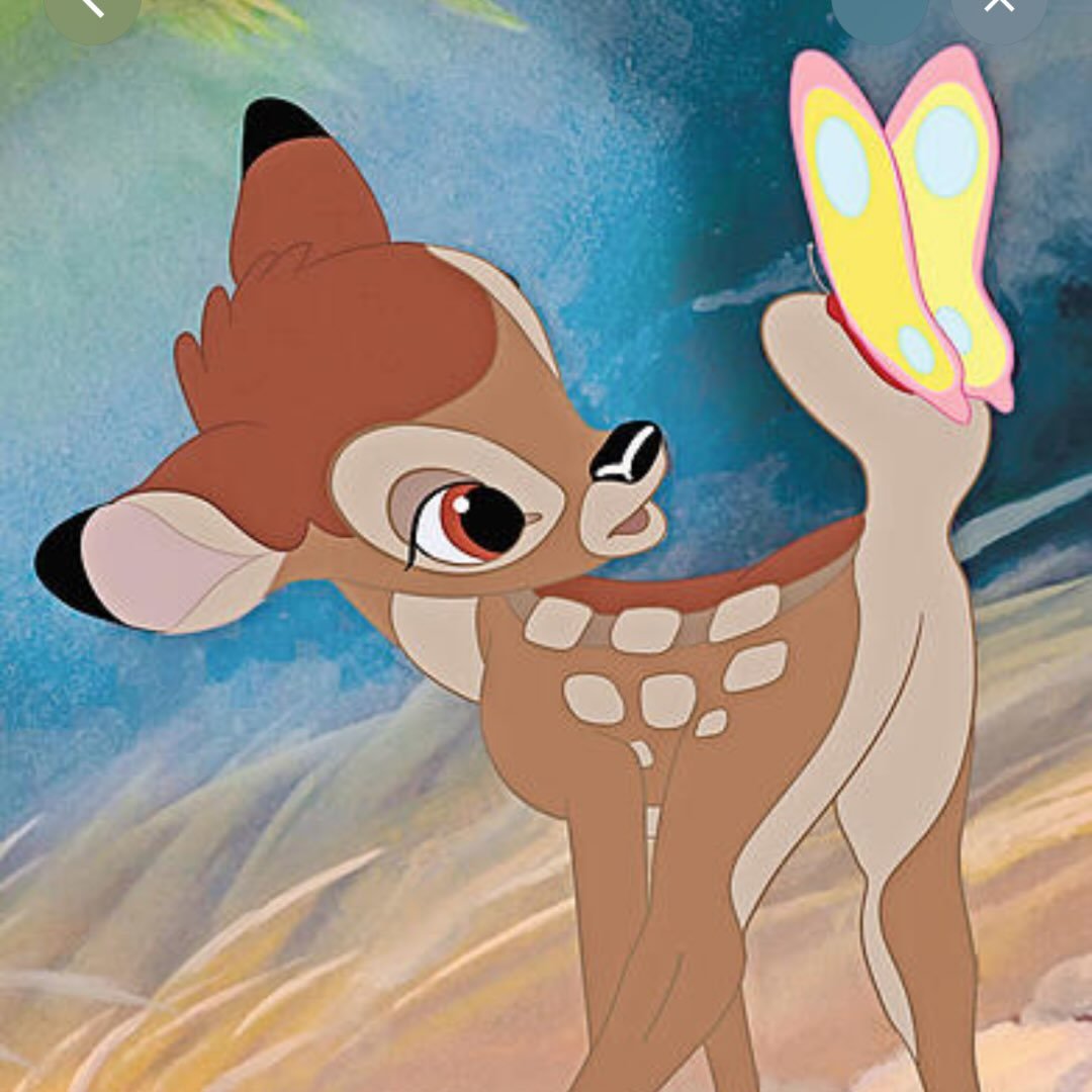Instagram Profilbild von xyxfairy77766
