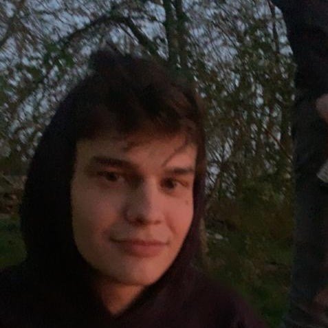 Instagram Profilbild von niklas_pul