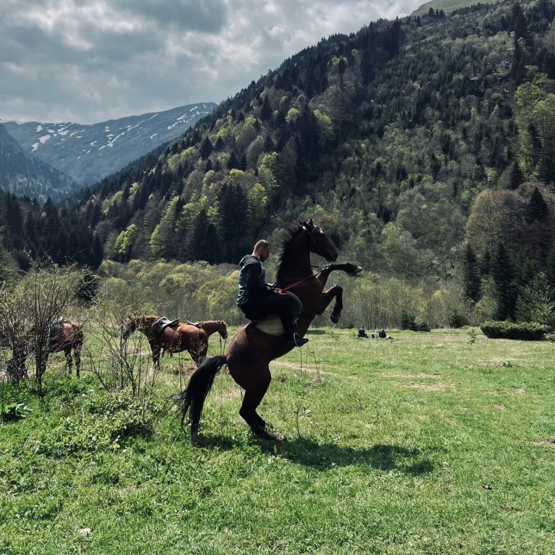 Instagram Profilbild von florentqazimi