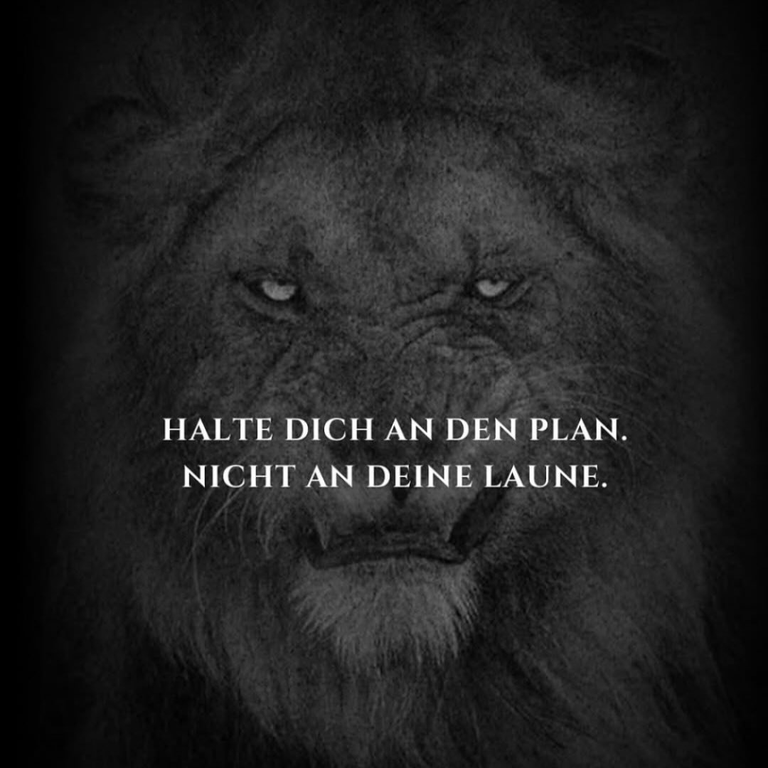 Instagram Profilbild von akrep_akrep42_