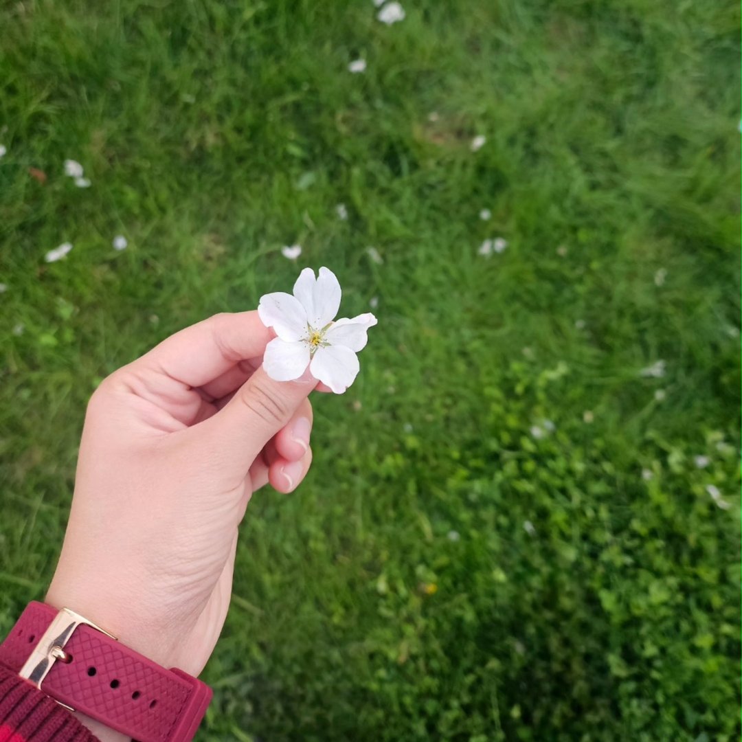 Instagram Profilbild von arshyabaweja