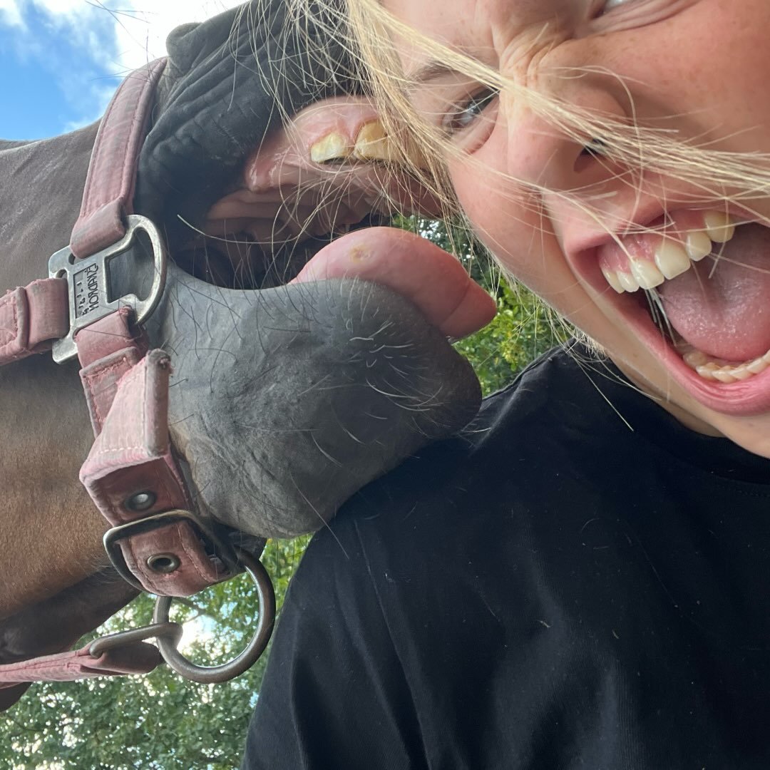 Instagram Profilbild von paulinee.biene