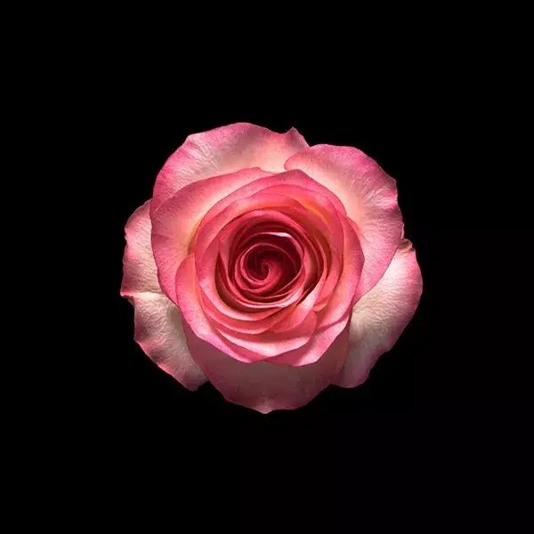 Instagram Profilbild von firo58_