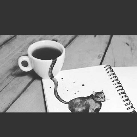 Instagram Profilbild von zehra.havva