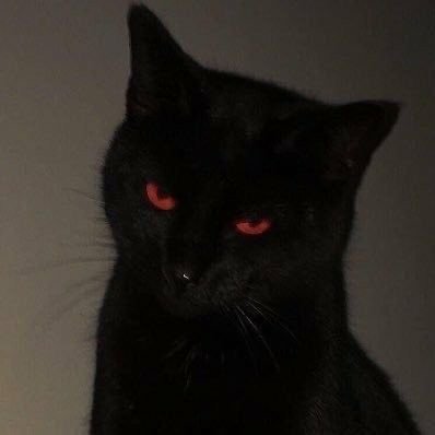 Instagram Profilbild von fblv