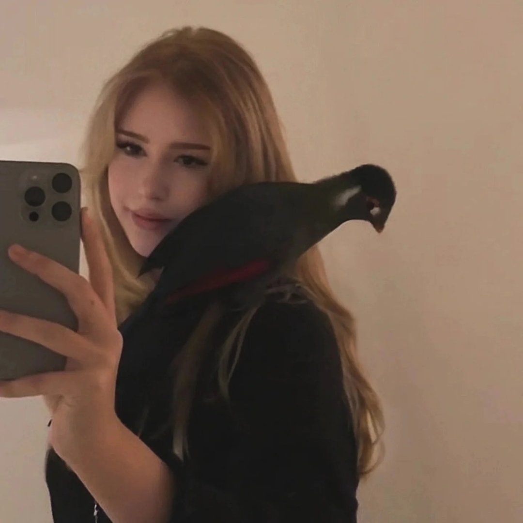 Instagram Profilbild von szsksbspsmsv