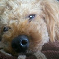 Instagram Profilbild von dillry