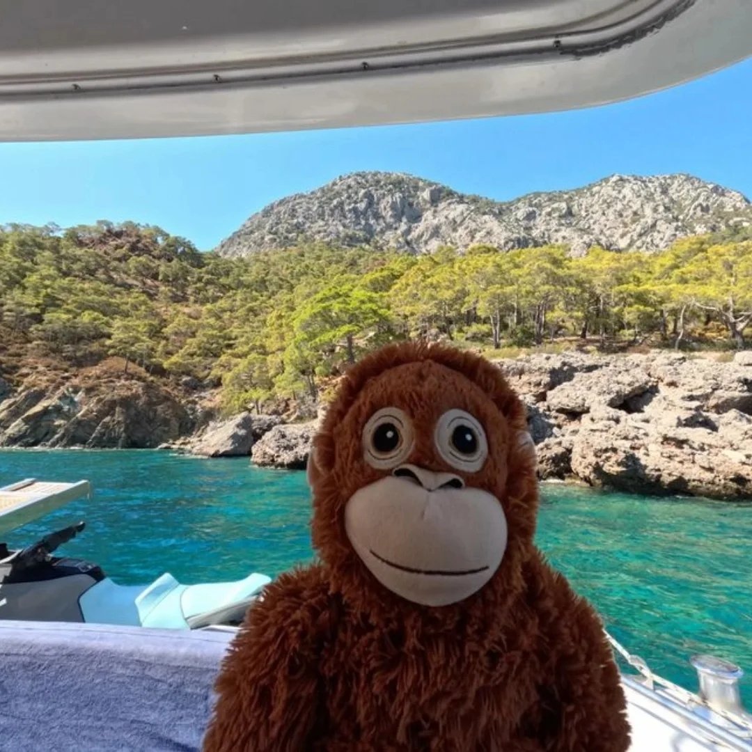 Instagram Profilbild von gustavkolbe