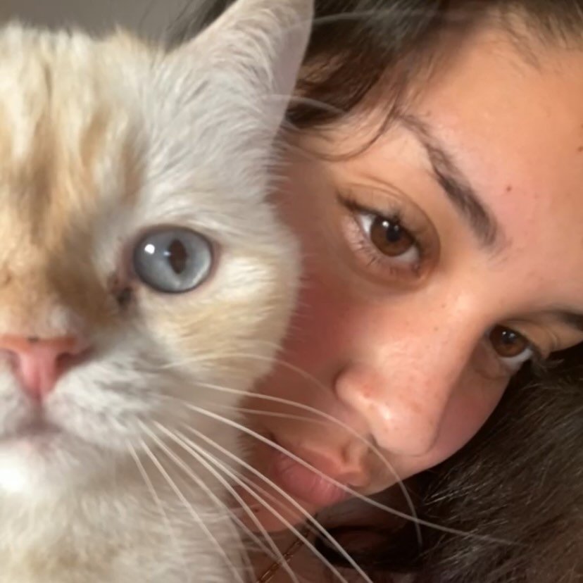 Instagram Profilbild von safyasuguven