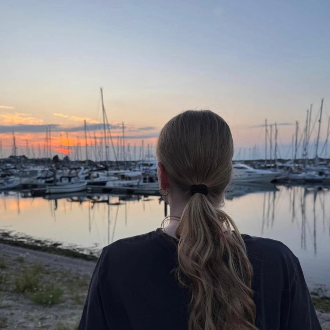 Instagram Profilbild von sara_boelling