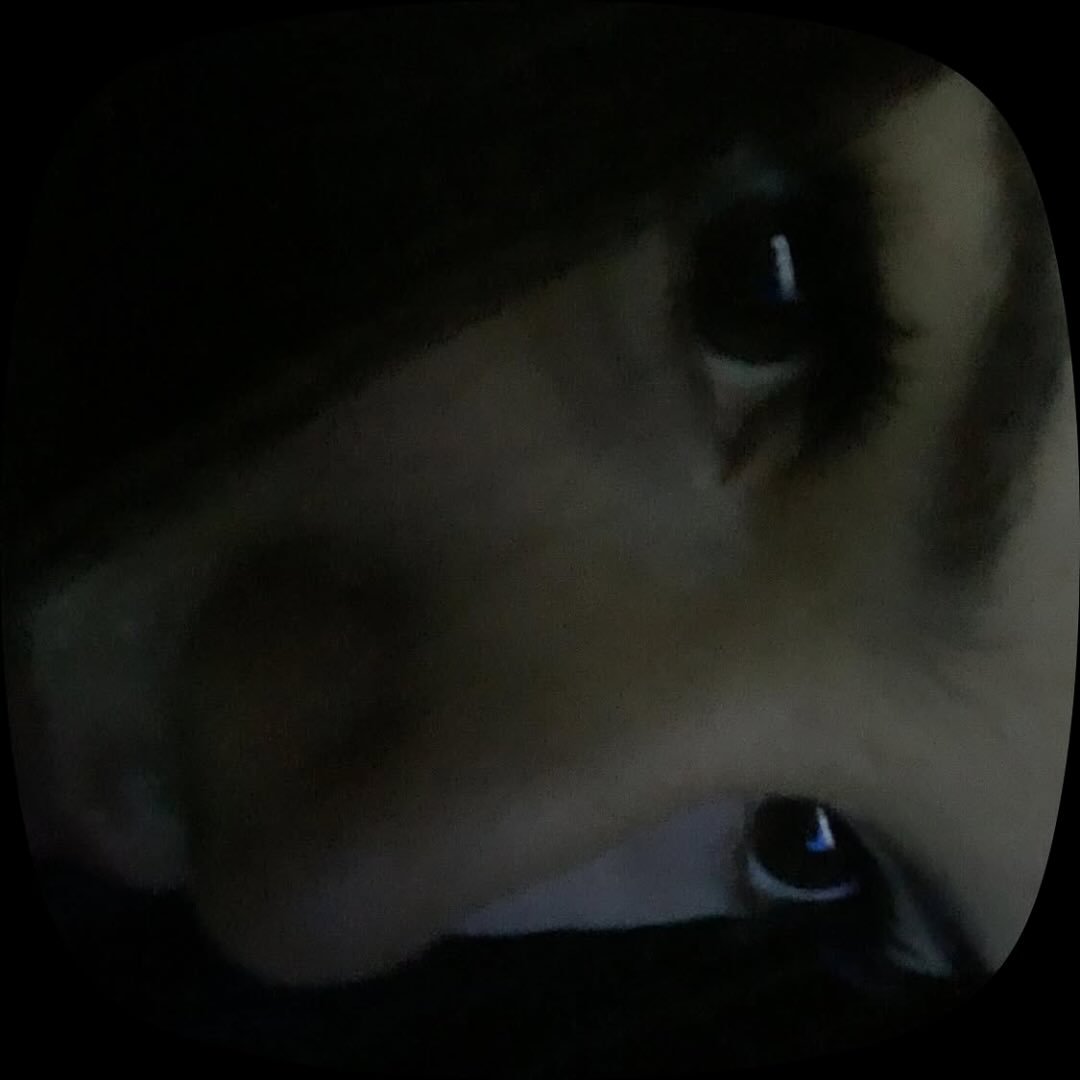 Instagram Profilbild von swnn_anng