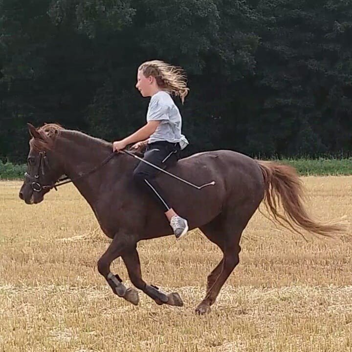 Instagram Profilbild von lisaboeing