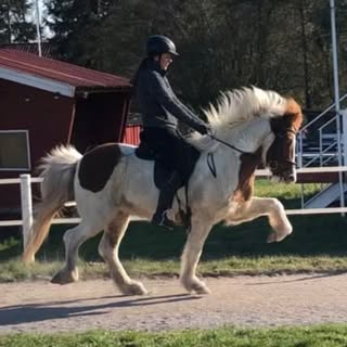 Instagram Profilbild von celinx.sdr