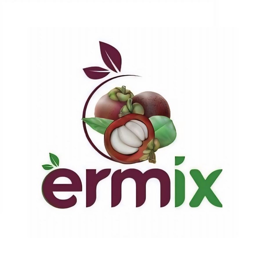Instagram Profilbild von ermixrs