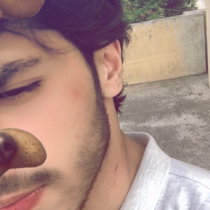 Instagram Profilbild von madara_towards_wine