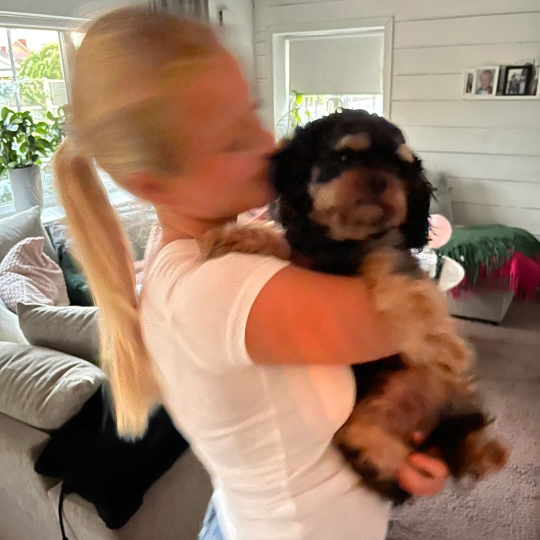 Instagram Profilbild von englaahansen