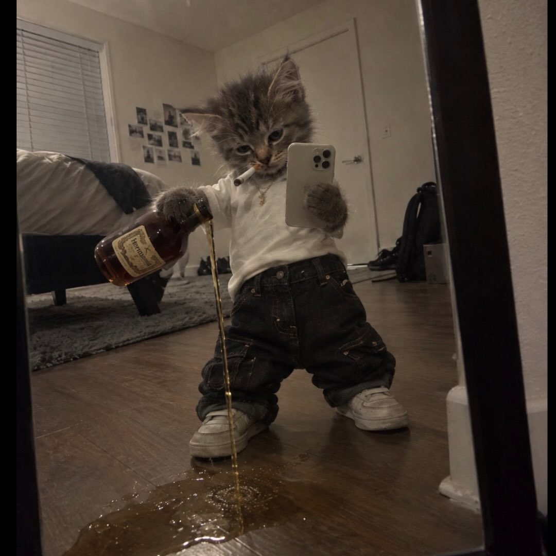 Instagram Profilbild von chiefvegetaa