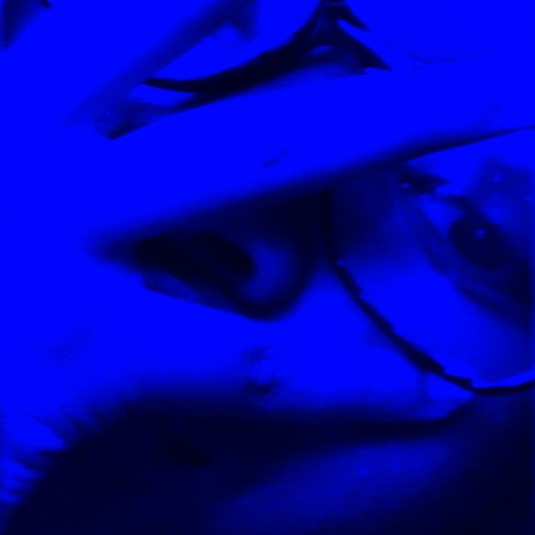 Instagram Profilbild von _.dfw._.shiks.__.lay_