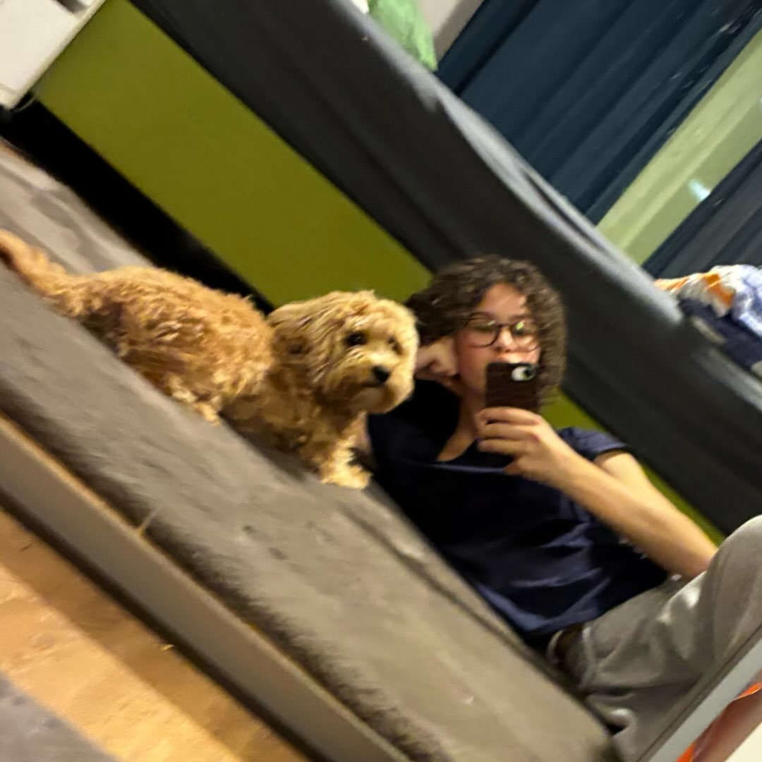 Instagram Profilbild von xeniahautle