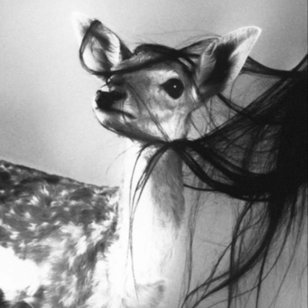 Instagram Profilbild von rr4qqu3ll