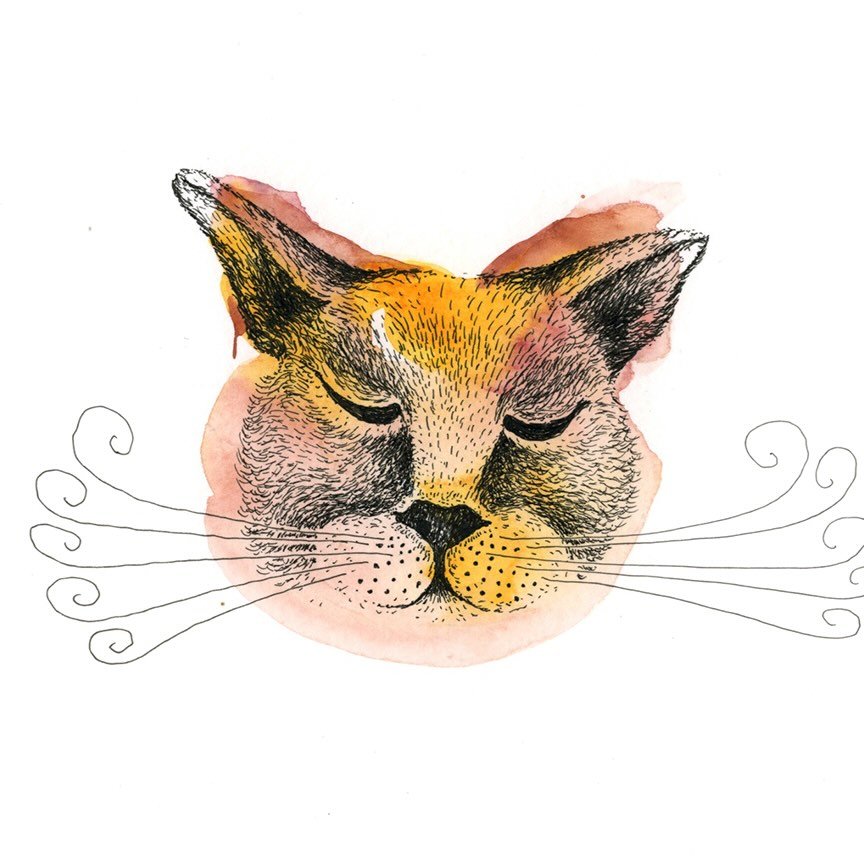 Instagram Profilbild von saijavarisillustration