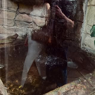 Instagram Profilbild von piaxlck_