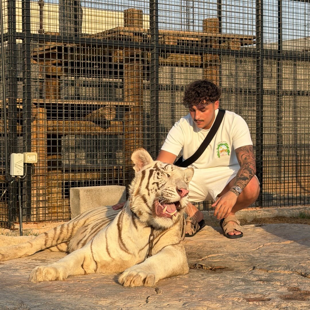 Instagram Profilbild von castro.bsl