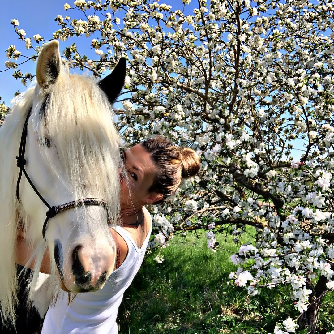 Instagram Profilbild von linafoerg