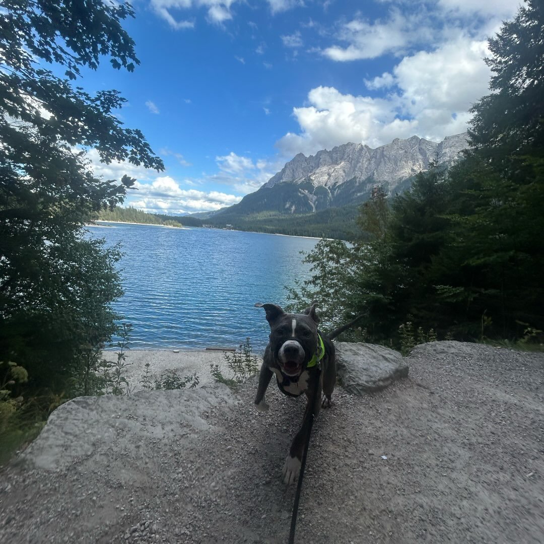 Instagram Profilbild von yotebs
