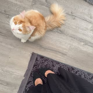 Instagram Profilbild von il.h.na_