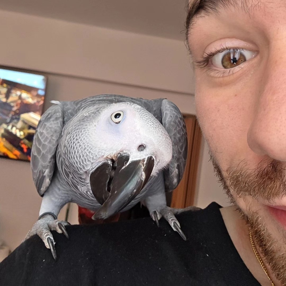 Instagram Profilbild von i.remic
