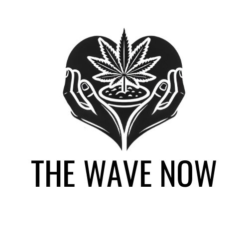 Instagram Profilbild von thewavenow