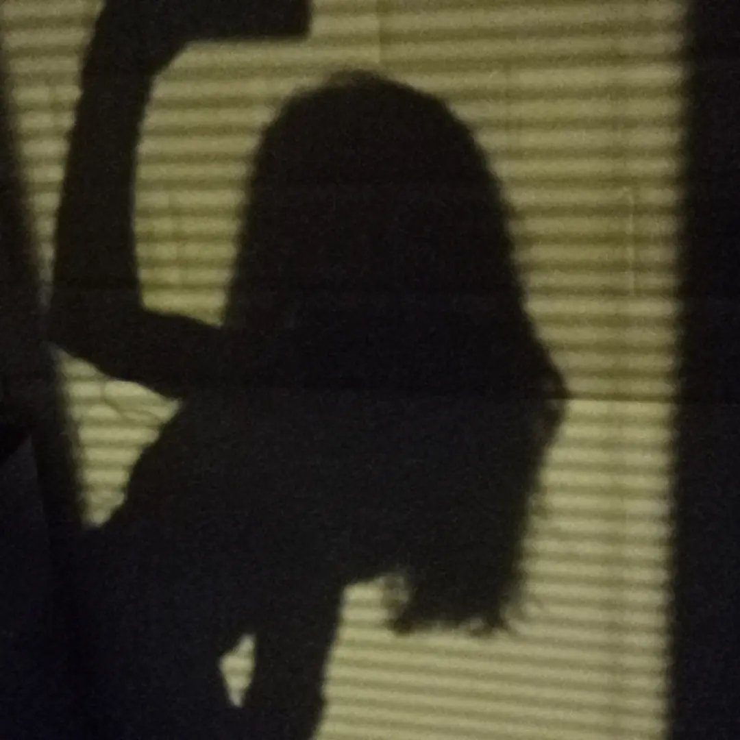 Instagram Profilbild von sophiaers
