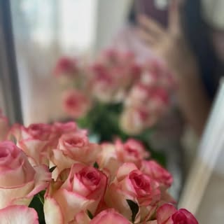 Instagram Profilbild von cvdl_008