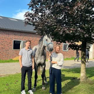 Instagram Profilbild von kimi.rolshoven