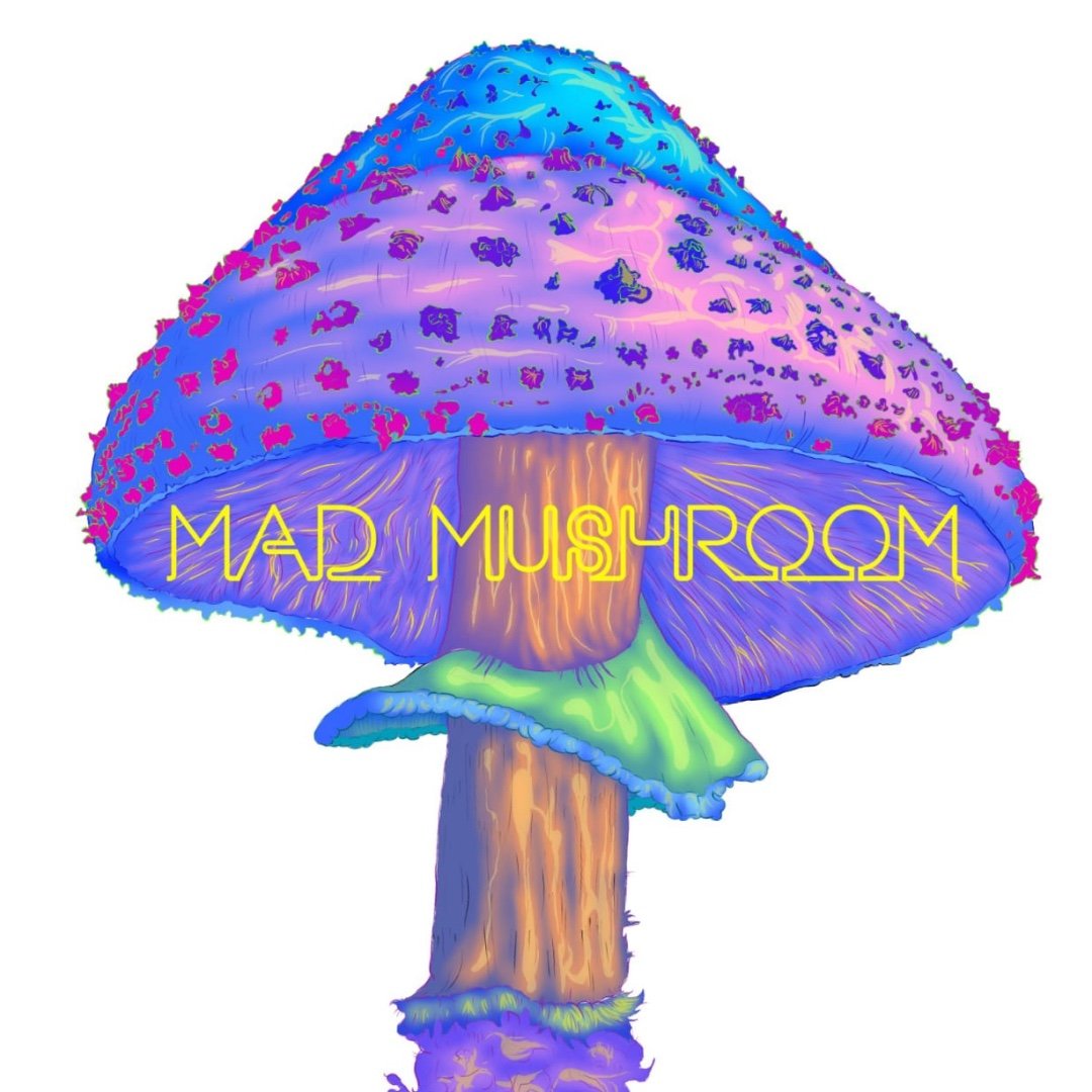 Instagram Profilbild von mad_mushroom