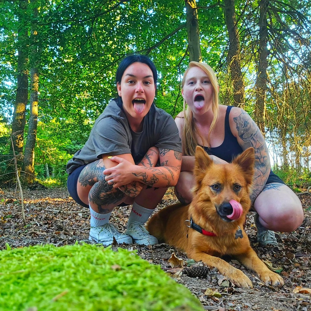 Instagram Profilbild von storiesintheforest