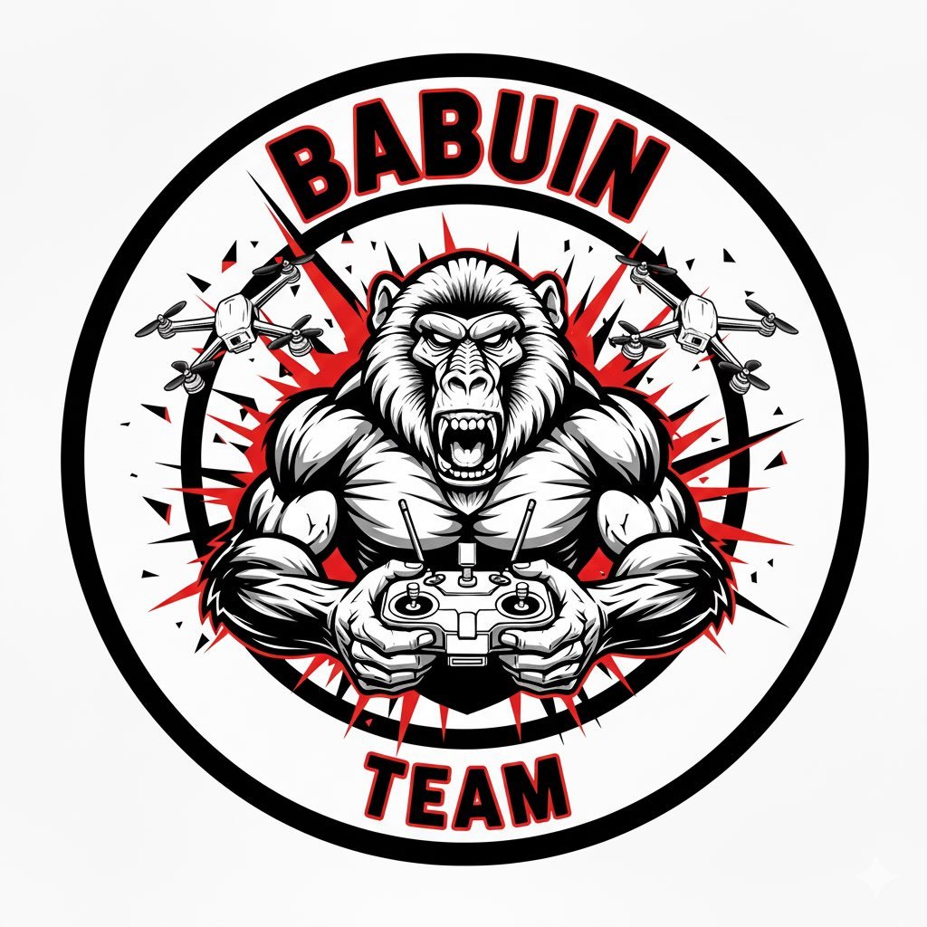 Instagram Profilbild von babuin_team