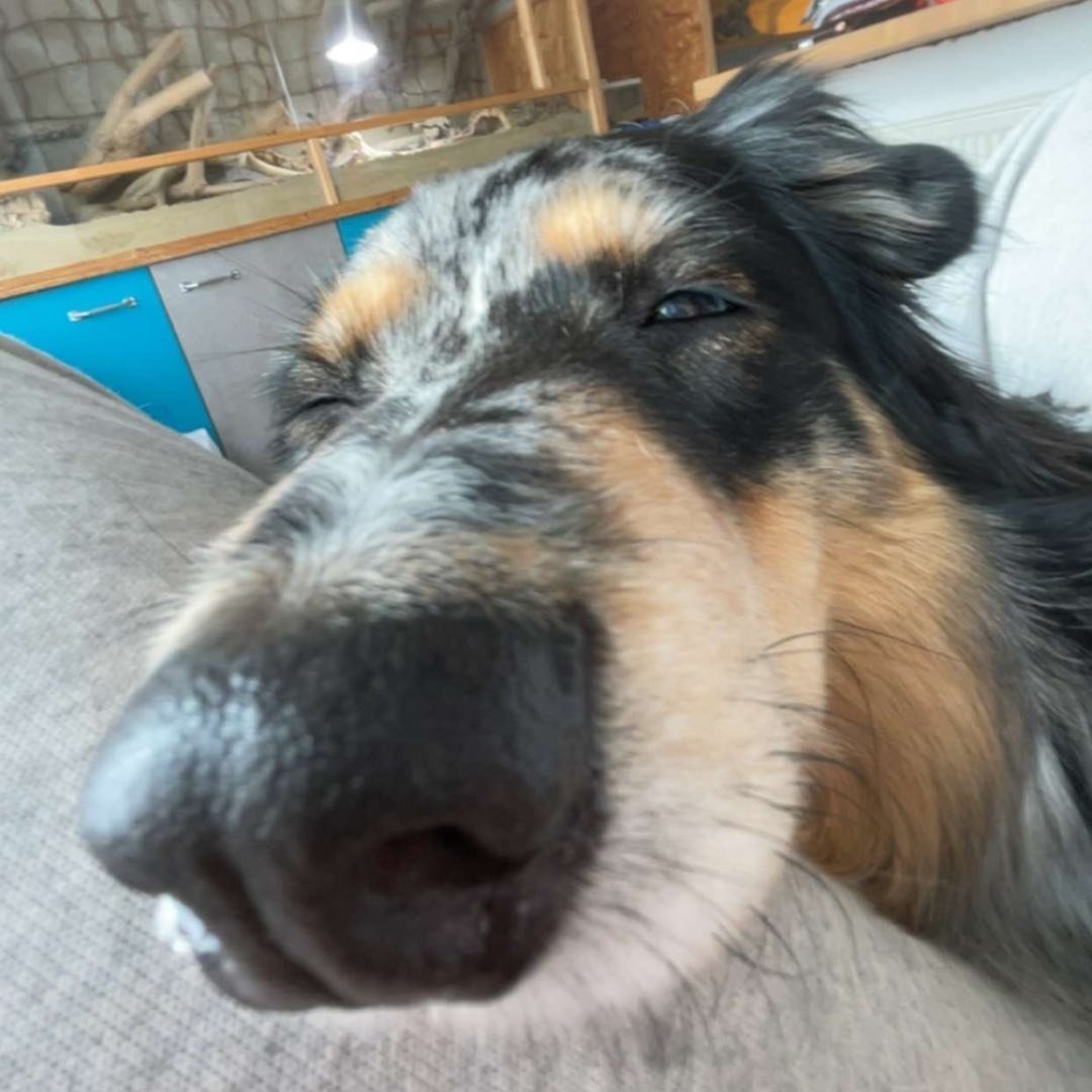 Instagram Profilbild von alix.wlbs