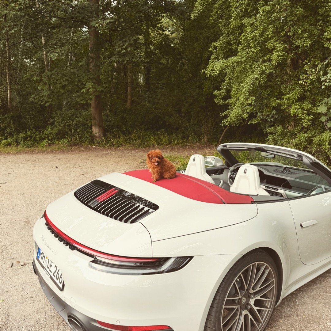 Instagram Profilbild von erbilfs