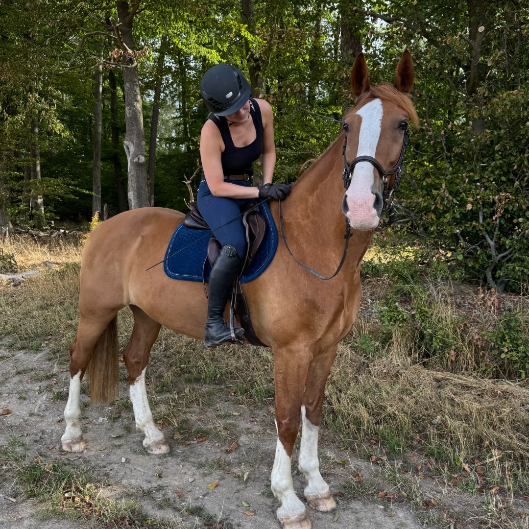 Instagram Profilbild von fenya_eq