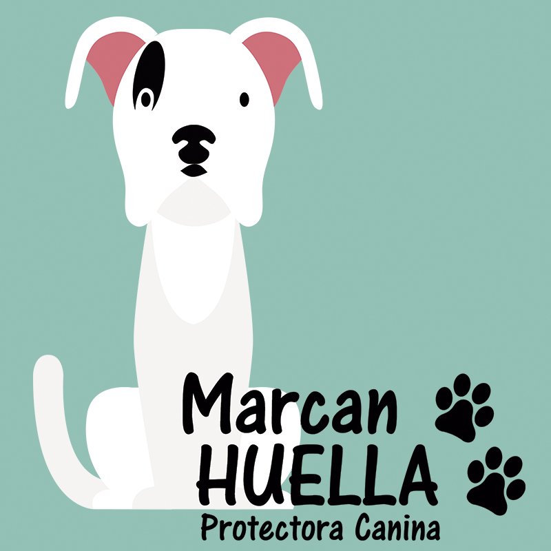 Instagram Profilbild von marcanhuella