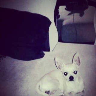 Instagram Profilbild von lucia_0312