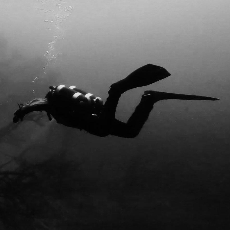 Instagram Profilbild von tim_diver
