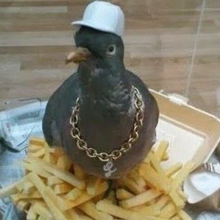 Instagram Profilbild von whaley.prv